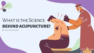The Science Behind Acupuncture: Nervous System, Inflammation, and Pain Perception