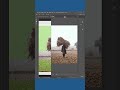 Expand Background using #photoshop #photoshoptutorial #imageediting