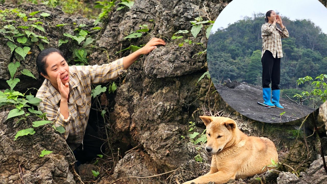 Кики, самая верная собака Лиен, пропала. Что случилось? Найдет ли она когда-нибудь Кики?