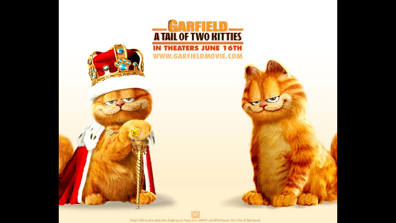 The Best Cat Movies YouTube