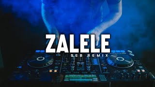 ZALELE ( DISTAN ) SEB RMX