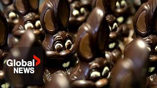 Why your easter chocolate might cost more this year