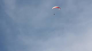 Paragliding accident full stall went wrong fall into canopy