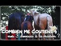 COMBIEN ME COUTENT MES 3 CHEVAUX À LA MAISON ? 💸