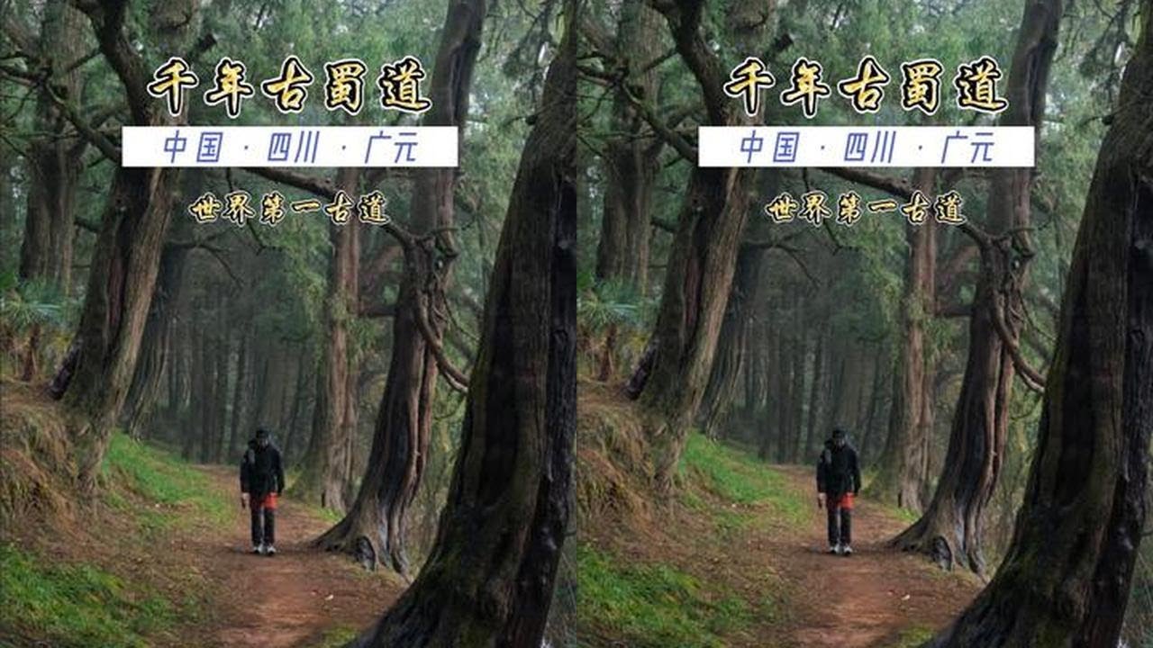 来四川必徒步的中国经典徒步路线百公里古蜀道 这是“世界第一古道”，被誉为“不输熊野大道的传奇古道”，百公里徒步穿越古今吃住行全攻略
#金牛道 #古蜀道 #古蜀道徒步游 #城野两栖 #