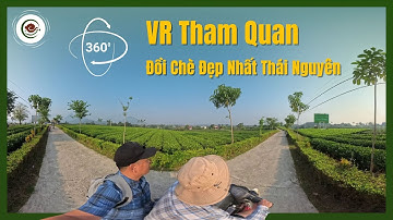 Tham Quan Đồi Chè Cầu Đá | Địa Điểm Check-in Đẹp Nhất Thái Nguyên - Video VR 360° 🌿✨