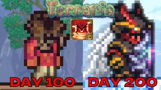 I spent 200 days in INFERNUM CALAMITY Terraria...