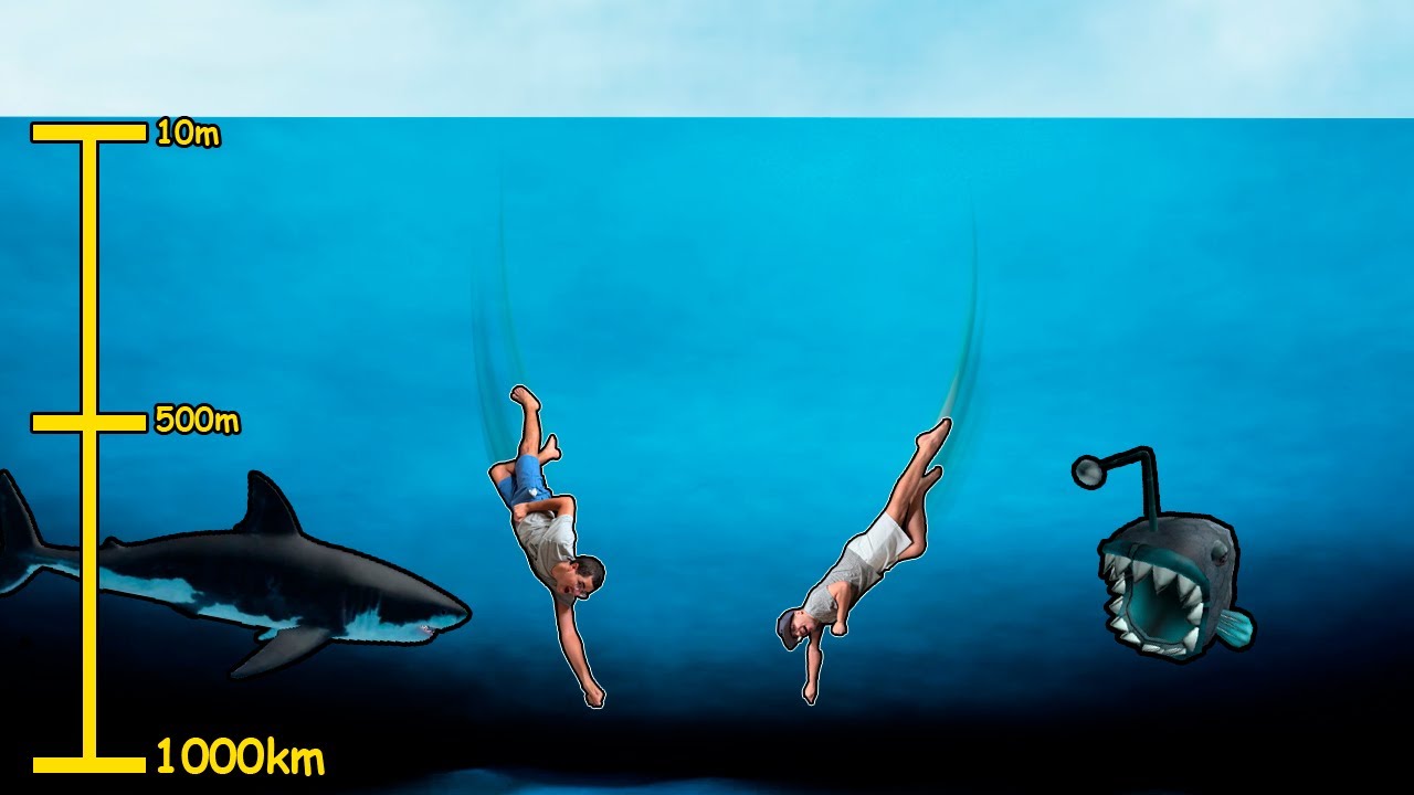 MERGULHAMOS A 999999 METROS NO OCEANO ATÉ CHEGAR NO FIM!!