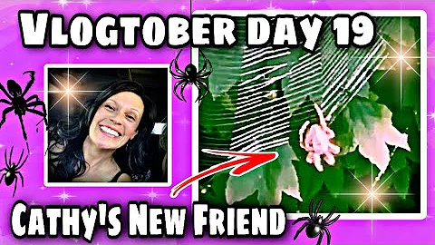 🎃 VLOGTOBER DAY 19 🎃 | SPIDERS 🕷 & STUFF | October 19, 2022 | @Traci B