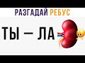 Разгадай ребус) Приколы | Мемозг 600