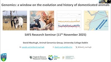 Genomics: a window on the evolution of domesticated animals.