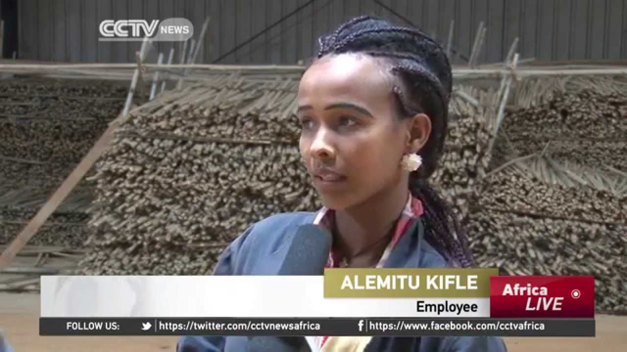 Still from Ethiopian entrepreneurs are using bamboo to make finished goods