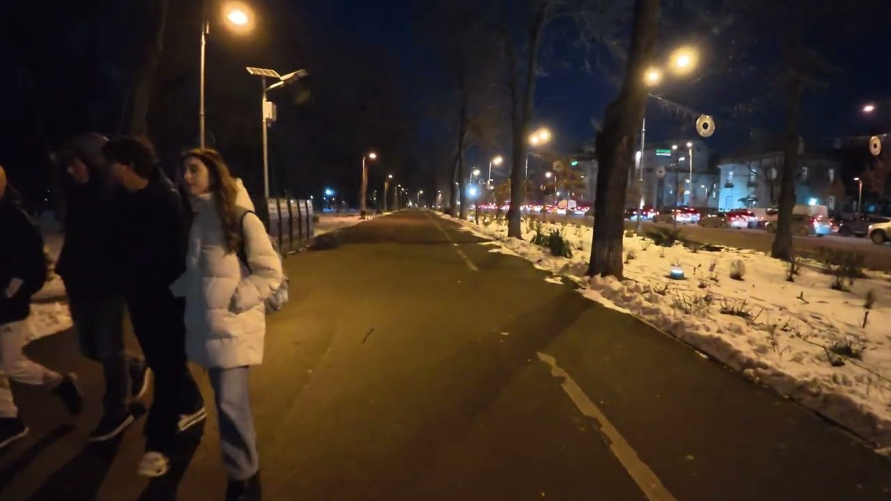 Bucharest Night Walk – Victory Square to Aviatorilor Boulevard 4K POV