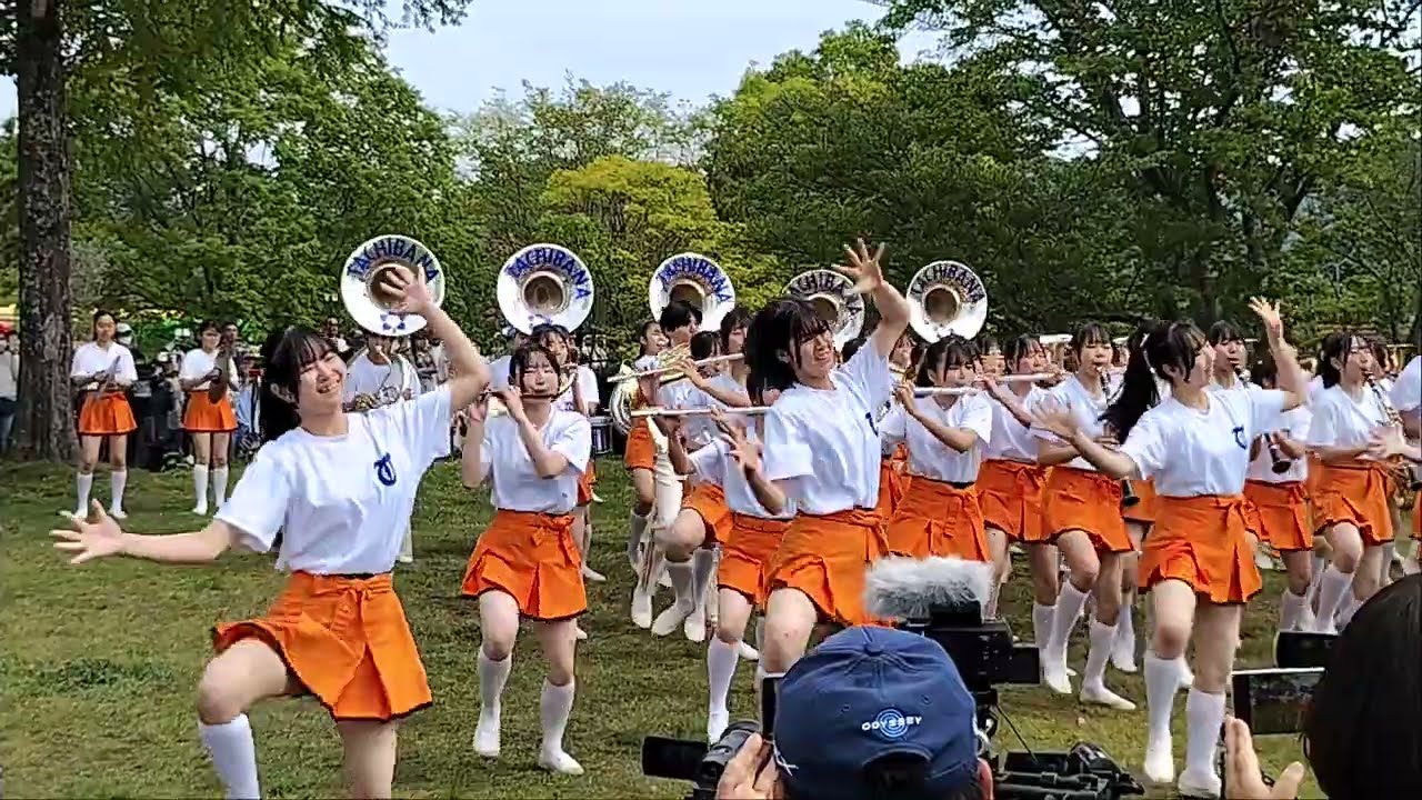 京都橘高校吹奏楽部 kyoto tachibana ブルーメの丘2026