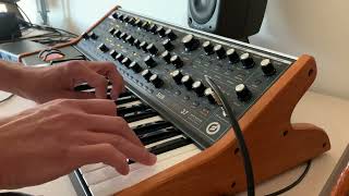 Moog Subsequent 37 Duo Mode Improvisation no effects no talking