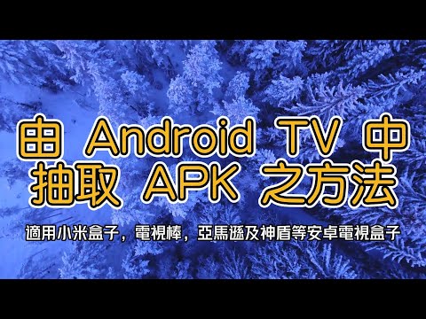 如何從 Android TV 中提取抽取備份 APK