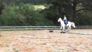 casper flatwork/jumping raws