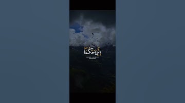 قَالَ لَا تَخَافَآ ۖ إِنَّنِى مَعَكُمَآ أَسْمَعُ وَأَرَىٰ | سوره طه || آيه 46 ||