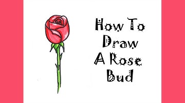 How To Draw A Rose Bud Step by Step For Kids Easy Tutorial. Guided Easy Mother