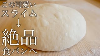 雫滴る食感。しっとりもちもちの捏ねない高加水食パンの作り方(196)