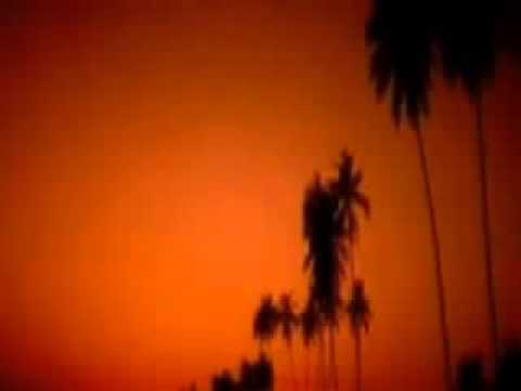 Dil Hai Chota Sa Instrumental & LyricsRoja