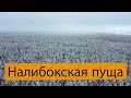 Налибокская пуща зимой на велосипеде!