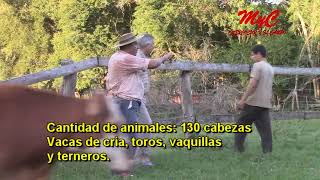 Establecimiento Ganadero en Dos Arroyos - Misiones- 1ra Parte