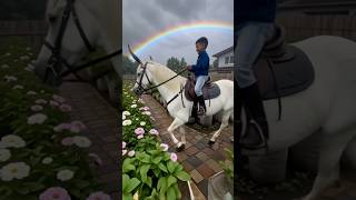 Download Lagu naik kuda putih🤩 MP3