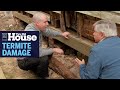 How to Prevent Termite Damage | This Old House