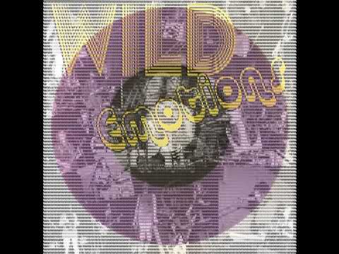 Wild Emotions — Wild Emotions "Hey Everybody"
