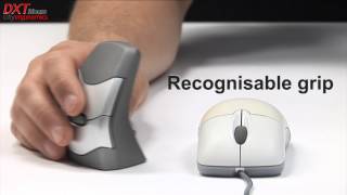 DXT Ergonomic Wireless Mouse