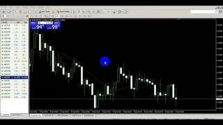 Forex Trading Bangla Tutorial   About Currency Pair And Lot  2017