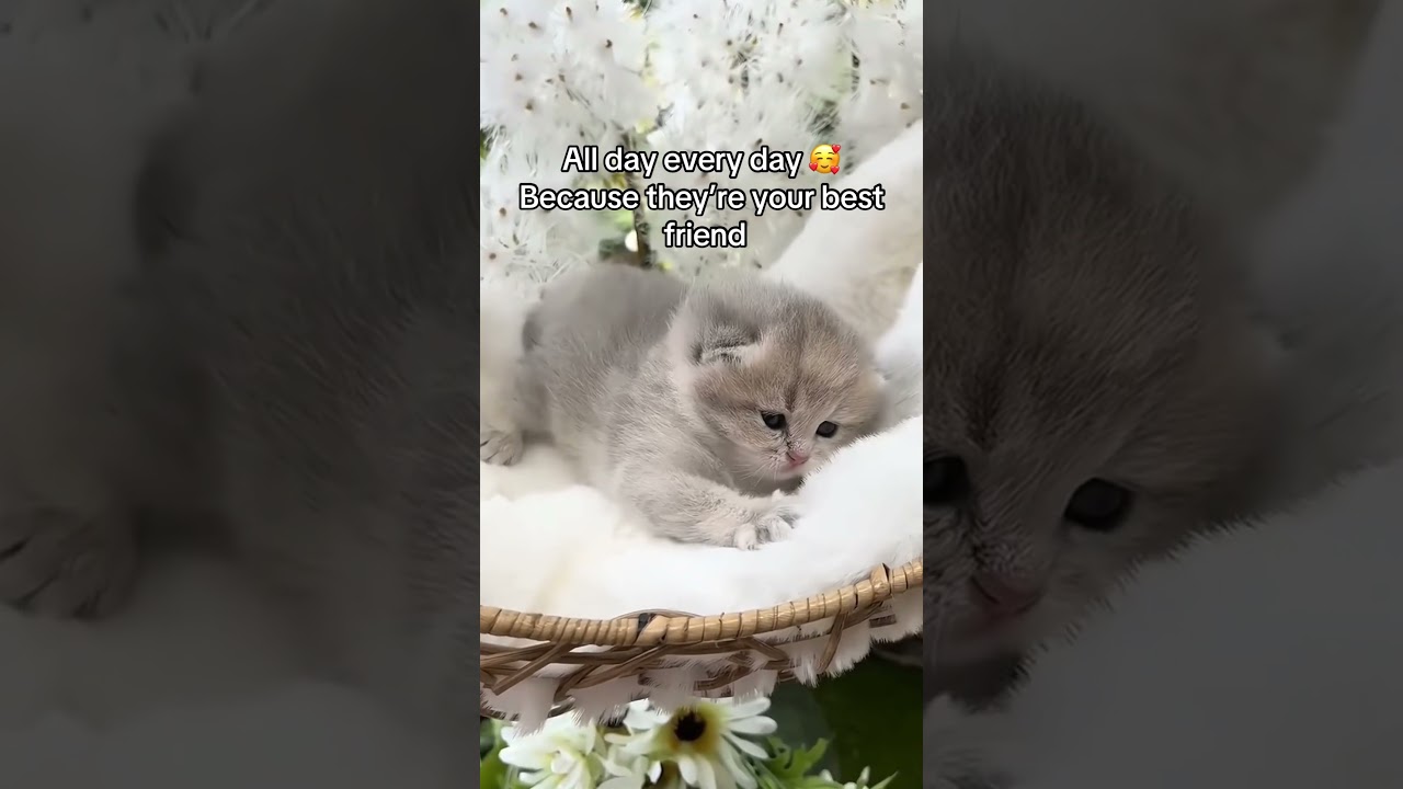 Keep your friends close 