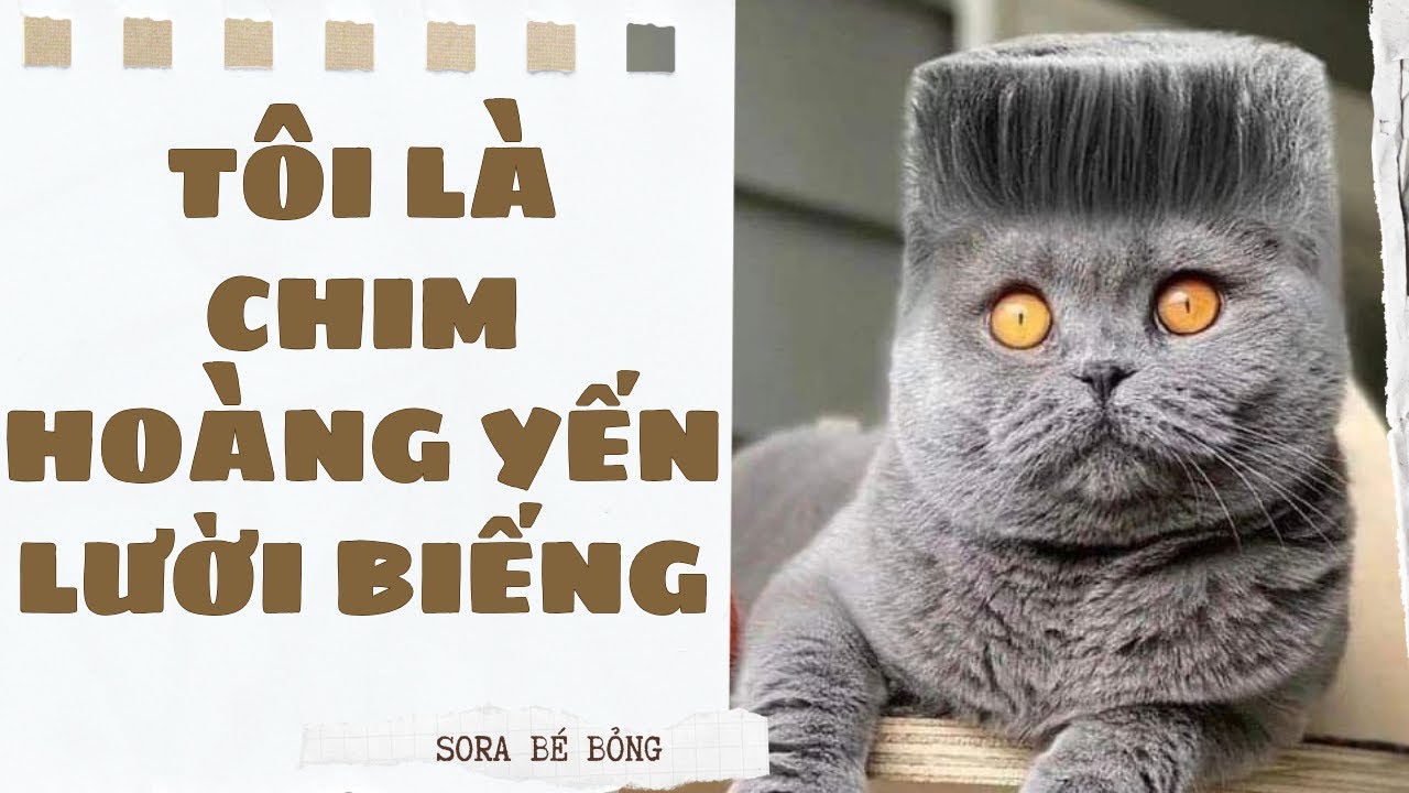 [Truyện Audio ] [FULL] TÔI LÀ CHIM HOÀNG YẾN LƯỜI BIẾNG || Sora Bé Bỏng