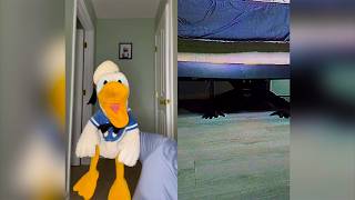 Donald Ducc SCARIEST TikToks 263 (DO NOT BE SCARED CHALLENGE)