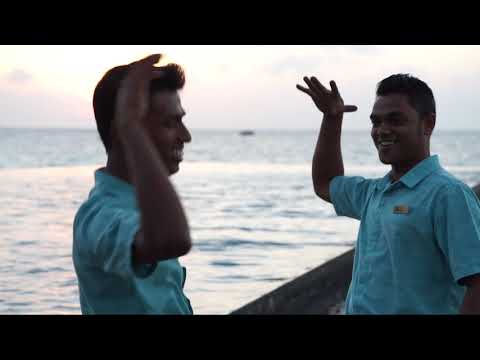 Video: Maldive Recurge La Un țestoase Intern
