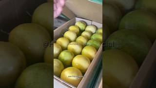 Invista em conhecimento #agro #agricultura #agronegócio