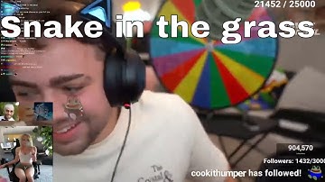 XQC Calls HasanAbi Snake On Mizkif Stream