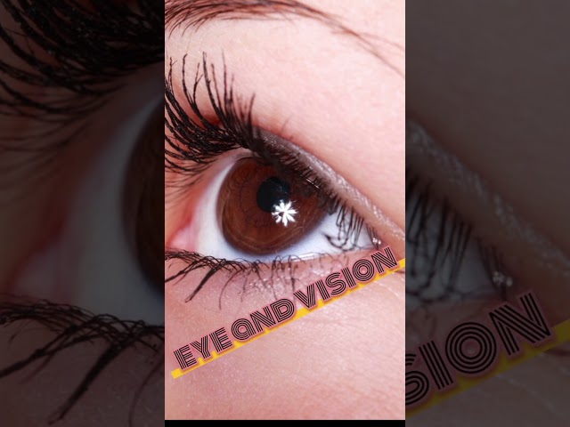 What is the best supplements for eyes and vision #fazimedix #supplements #eye