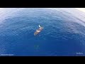 Enable IT WaveGlider