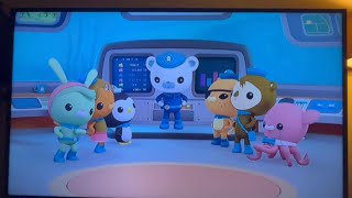 octonauts creature report barracuda