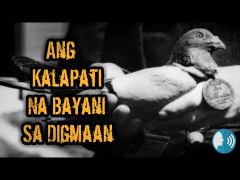 Video: Natatanging Araw Ng Mga Beterano 