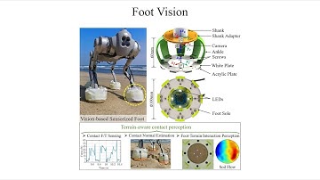 [RAL 2024] Foot Vision: A Vision-Based Multi-Functional Sensorized Foot for Quadruped Robots
