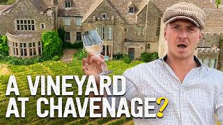My Grandfather Said We Should Plant a Vineyard… Was He Right