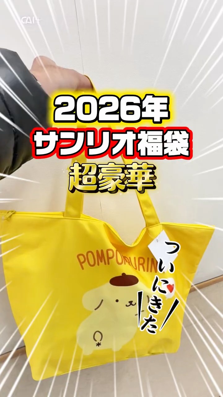 サンリオ福袋2026年 ポムポムプリン福袋 開封してみた結果！ #サンリオ