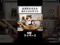 血液型あるある 焼きそばの作り方 【ASMR】#shorts #asmr #猫 #血液型