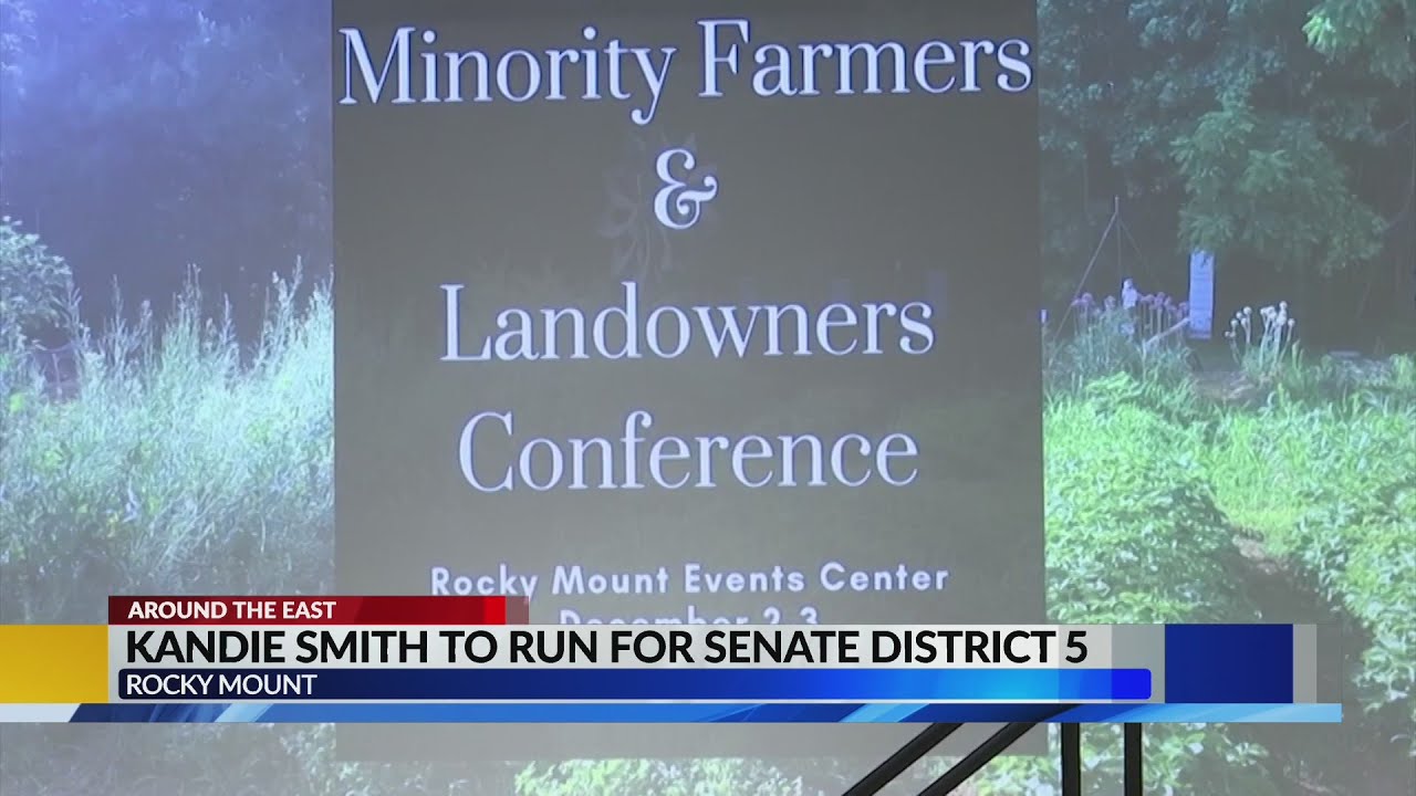 Kandie Smith to run for Senate District 5