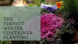 Winter Container Planting | Catherine Arensberg