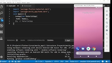 Master Flutter Dart De cero a experto - Cartelera de Películas -2 Estructura Proyecto