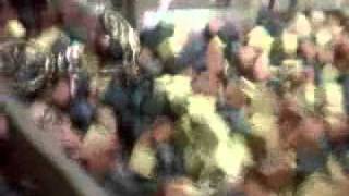 VISHISS@ the Fantasy Factory w/ Rob Dyrdek